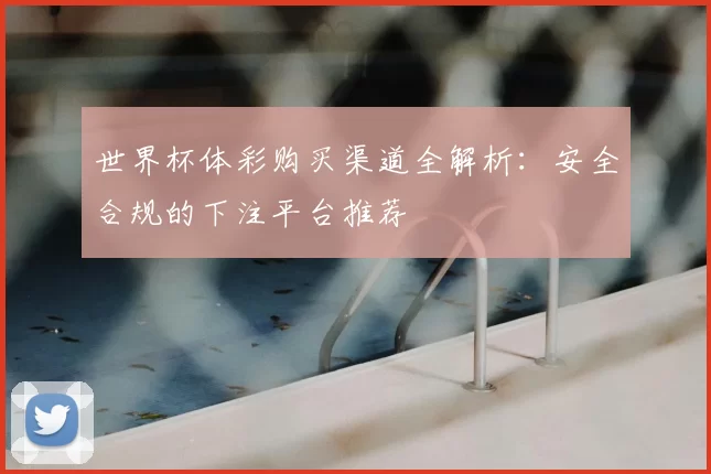 世界杯体彩购买渠道全解析：安全合规的下注平台推荐