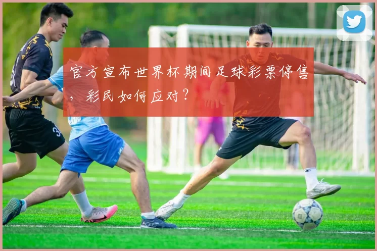 官方宣布世界杯期间足球彩票停售，彩民如何应对？