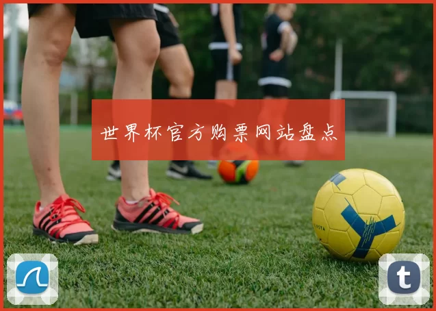世界杯官方购票网站盘点