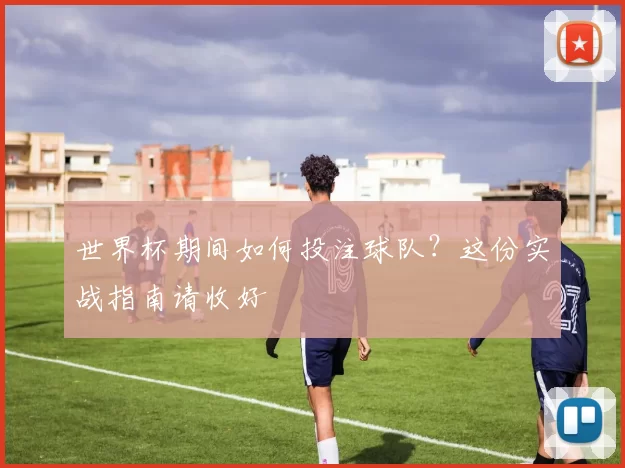 世界杯期间如何投注球队？这份实战指南请收好