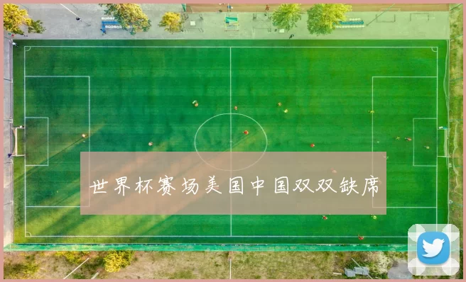 世界杯赛场美国中国双双缺席