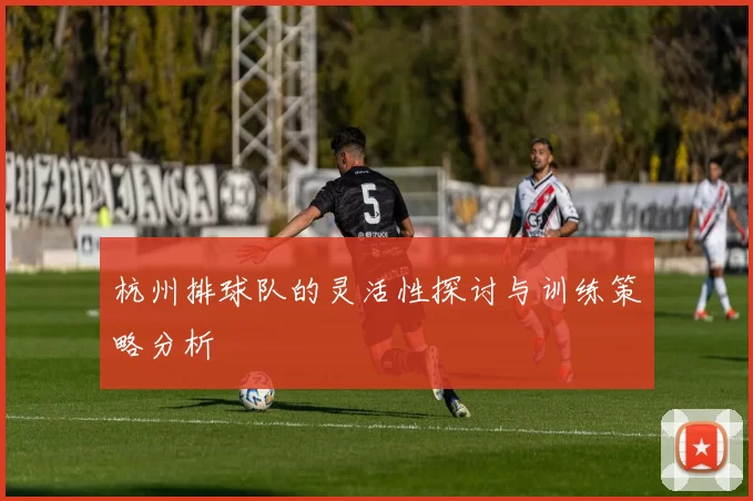 杭州排球队的灵活性探讨与训练策略分析