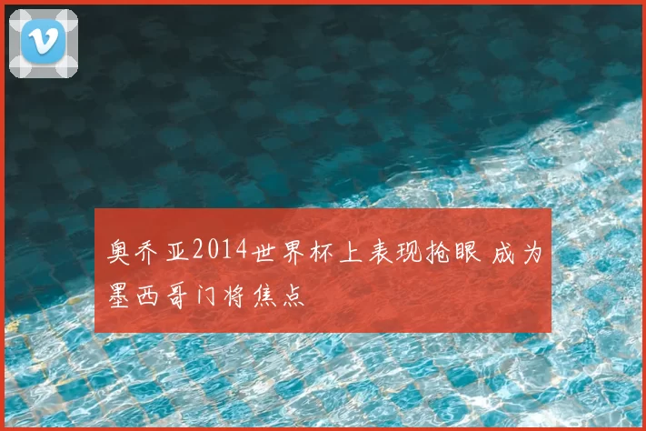奥乔亚2014世界杯上表现抢眼 成为墨西哥门将焦点