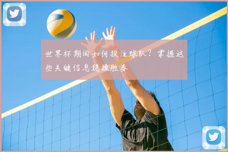世界杯期间如何投注球队?掌握这些关键信息稳操胜券