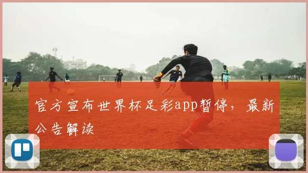 官方宣布世界杯足彩app暂停，最新公告解读