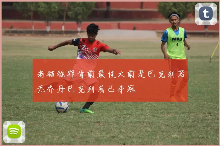 老猫称邓肯前最佳大前是巴克利若无乔丹巴克利或已夺冠