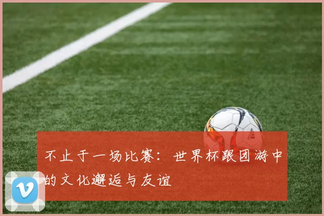 不止于一场比赛：世界杯跟团游中的文化邂逅与友谊