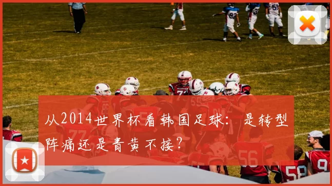 从2014世界杯看韩国足球:是转型阵痛还是青黄不接?